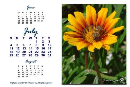 7 July Portrait 2010 Bee and Sunflower.jpg - Yellow Flower with a visitor